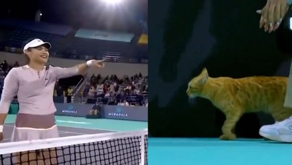 Emma Raducanu bursts into laughter after cat invades court at Abu Dhabi Open
