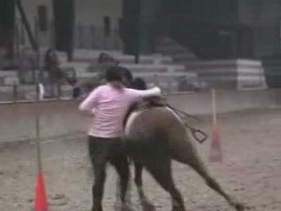 Ride and run