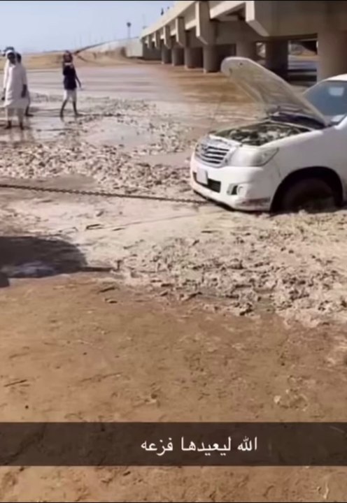 رغم كل الجهود لم يتمكنوا من إنقاذ السيارة