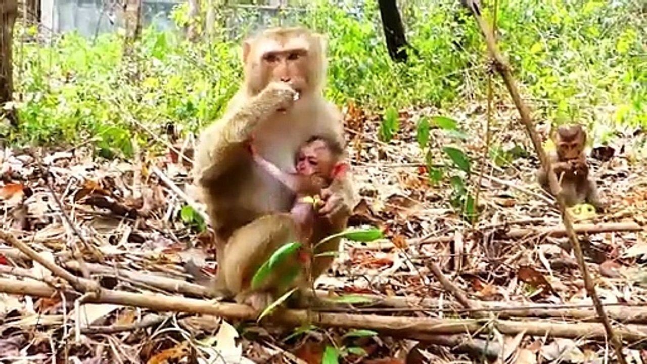 Sarika Mother Lifts In Chest And Stands Up With Super Actions (720p_25fps_H264-192kbit_AAC)