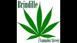 Cannabis Street (nouvelle version) - Brindille
