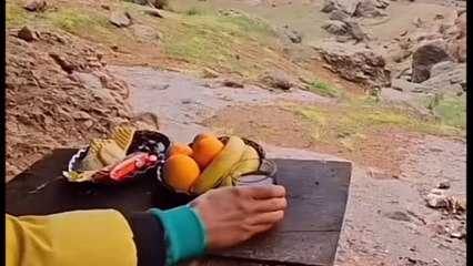 ما كنت كويس قاعد كويس 