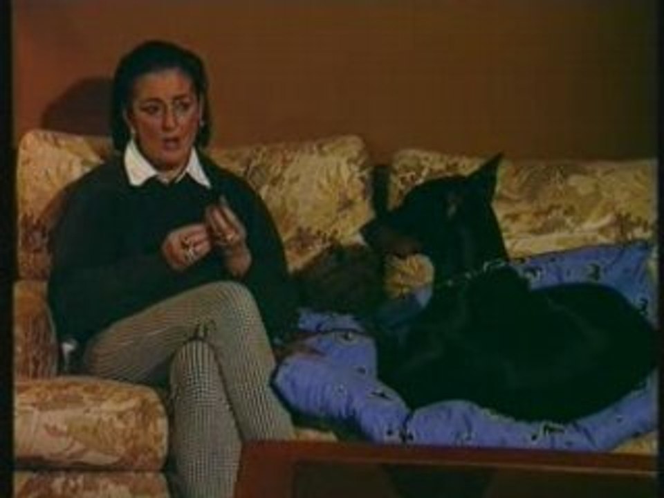 Le Doberman