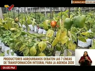 Productores agrourbanos realizaron Mesas de Trabajo para debatir las 7T para la agenda 2030