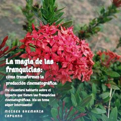 Moises Shemaria Capuano| La magia de las franquicias (parte 1)