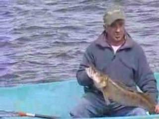 Le lac de Biscarosse et ses sandres