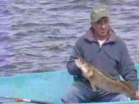 Le lac de Biscarosse et ses sandres