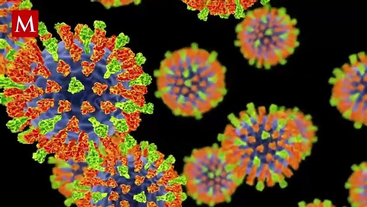 Así puedes identificar el sarampión y evitar el contagio de esta enfermedad