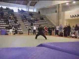 Démonstration de kung fu