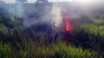 Bombeiros combatem incêndio em vegetação no Cascavel Velho