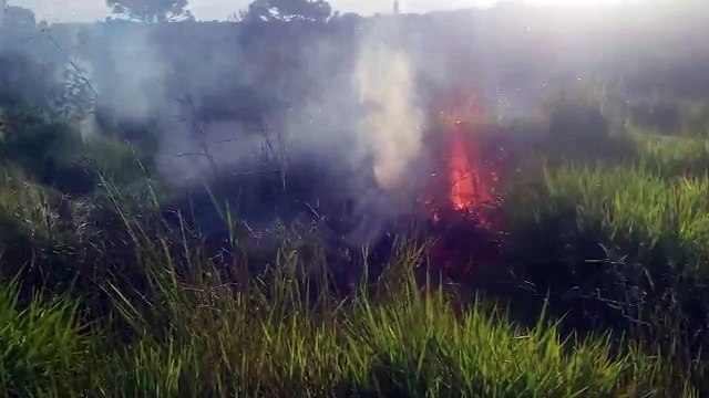 Bombeiros combatem incêndio em vegetação no Cascavel Velho