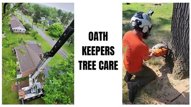 Oath Keepers Tree Care - Top Rated Tree Service Company in York, PA & Manchester, PA