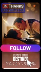 Alpha Curse Destined Love