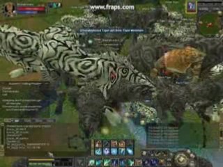 TigerGirl Kill Kst from my own Guildmaster