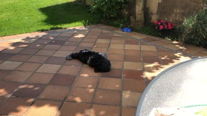 Este es mi vídeo más reciente