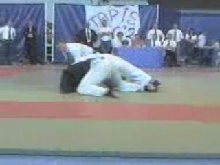 Baston de Free fight