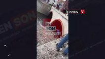 İstanbul Esenyurt'ta ikamet süresi dolan yabancı uyruklu kişi dere yatağında yakalandı