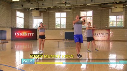 INSANITY by Shaun T sanity check