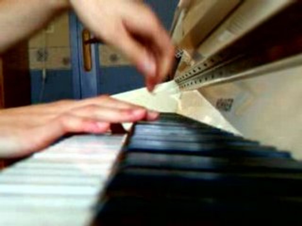 Les Aventures De Tintin & Milou