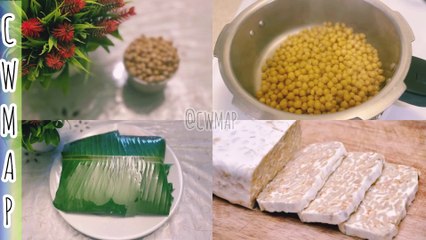 How to Make Tempeh at Home from SCRATCH! | Vegan Protein 2 Ways Banana Leave & Ziploc bag Recipe by CWMAP