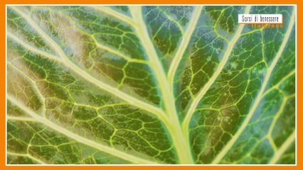 Sorsi di benessere - Scarti in cucina? Non buttarli, fai un decotto!