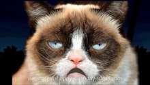 GRUMPY CAT HAPPY BIRTHDAY SONG (TOO FUNNY)