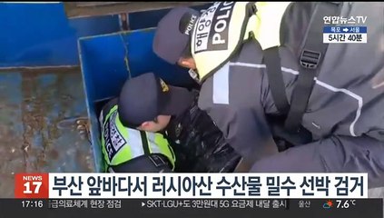 부산 앞바다서 러시아산 수산물 밀수 선박 검거