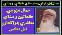 Ruk Sindhi ___ Jamal Abro ___ Sindhi Story Writer