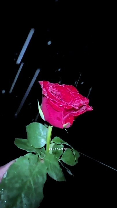 Tu na chaha he nhi chahne walon ki tarah   - SAVE AND SHARE ♡------------------- #explorepage #inspirationquotes#quotesandnotes #aesthetic #aestheticposts#aestheticedit #aestheticgrunge#aestheticphotography  #explorep