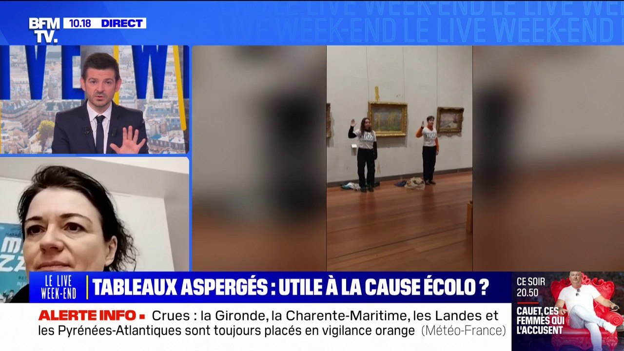 Tableau de Monet aspergé de soupe à Lyon: l'adjointe à la mairie en charge de la culture "condamne" l'action des militantes écologistes