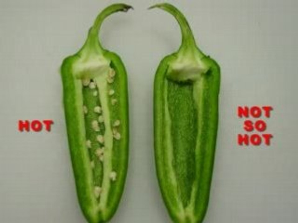 Hoffepeno
