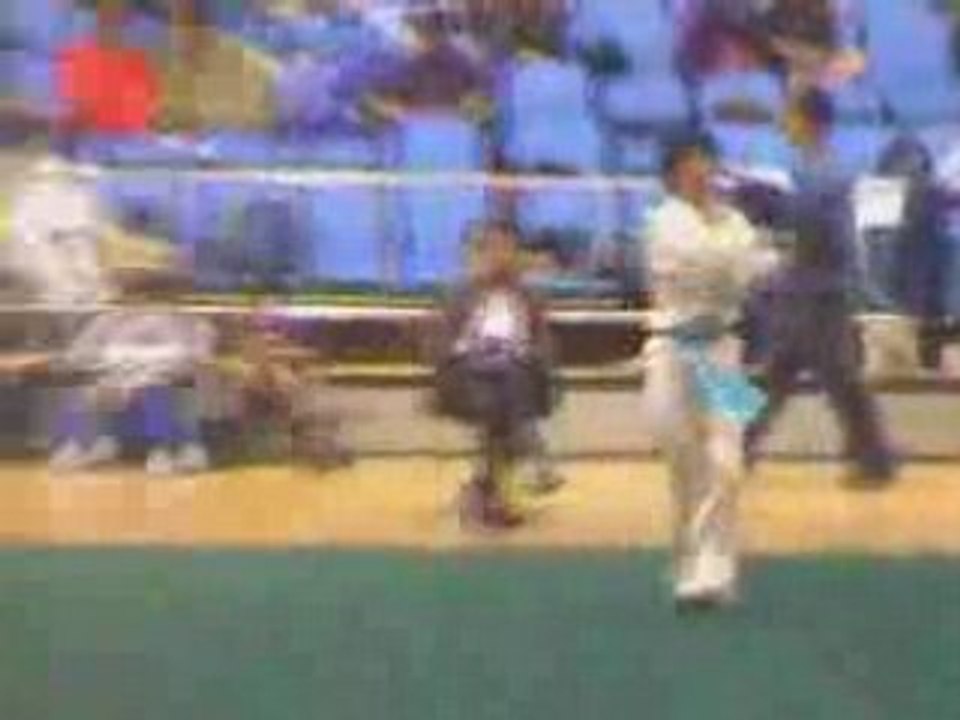 Kung fu traditionnel