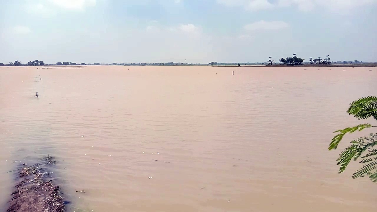Air Sungai Congger Meluap, Petani Tidak Bisa Tanam
