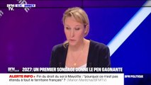 Marine Le Pen en hausse dans les sondages: 