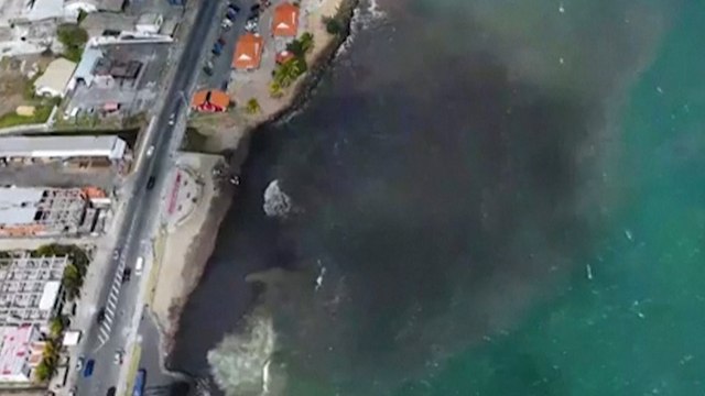 Caraïbes : une immense marée noire provoquée par un mystérieux navire