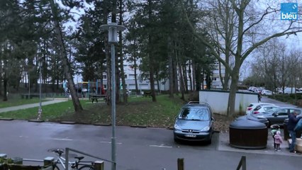 "Les gens ne sortent plus" : les étourneaux font vivre un enfer à des habitants de Maxéville