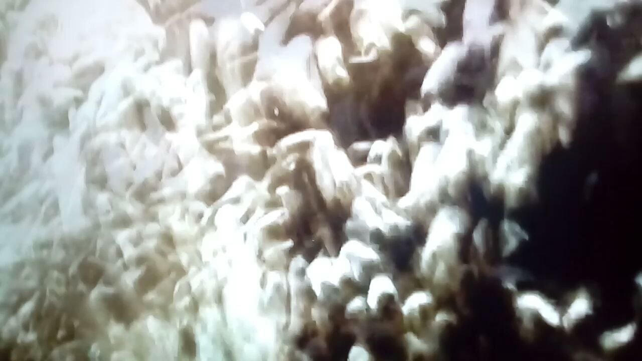 BÊTES DE POISSONS S01E04
