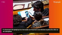 Gabriel Attal en train d'admirer un chiot sur son portable à l'Assemblée Nationale : toute la vérité sur son nouveau compagnon !