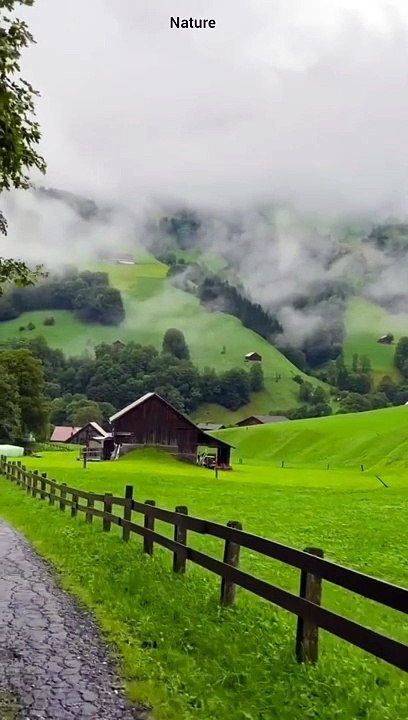 Nature