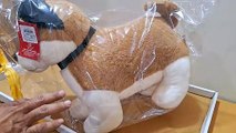 Unboxing and Review of FUN ZOO Super Soft 50cm Height Stuffed Cute Blue Eye Husky Dog