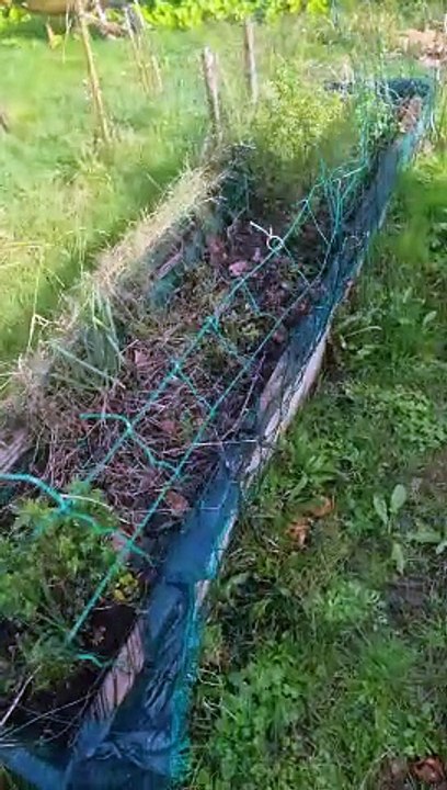 Mon potager #6 - Je retire la jardinière ! Exclusivité Dailymotion !