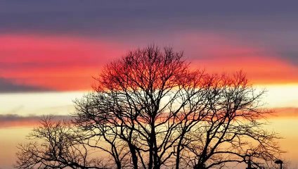 Stunning Sunset Over Worthing Captured by Eddie Mitchell 🌅