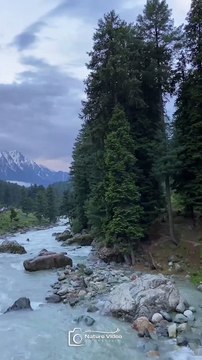 Immerse yourself in the serenity of the flowing river