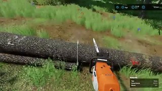 No Man's Land #2 - FS22 Timelapse - I built the Sawmill now Im going to make boards and wood chips
