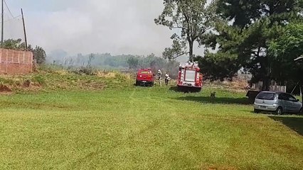 Mata ciliar nas margens do rio do bairro Guarujá é tomada por grande incêndio