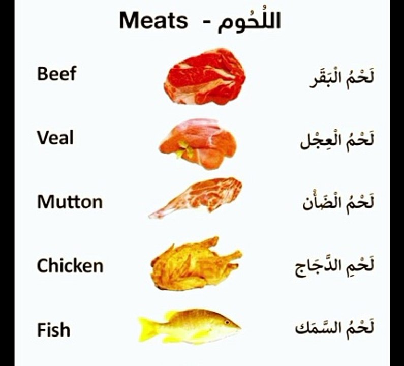 Learn Arabic
