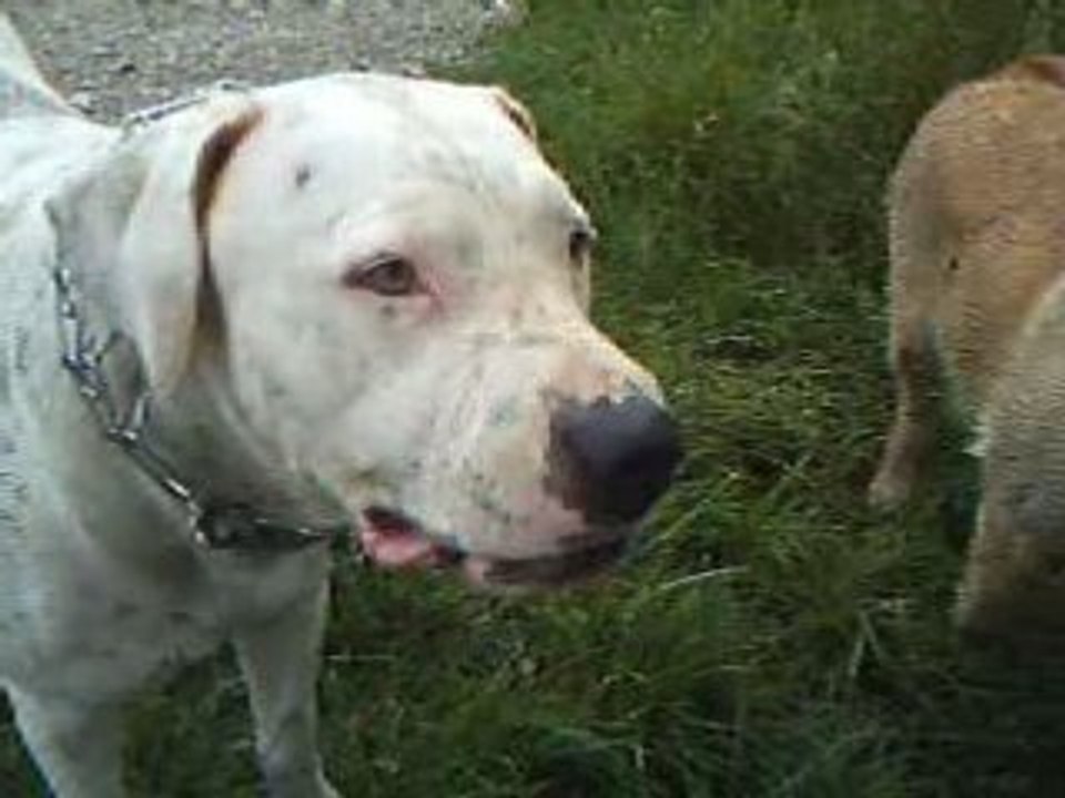 Lolavideo9