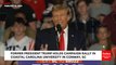 VIRAL MOMENT Trump Takes the Internet by Storm with Viral Moment | Trump's Viral Moment Sparks Online Controversy