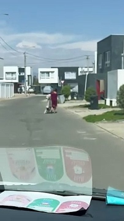 Dog Sitter Caught Bringing Escaped Dog Home