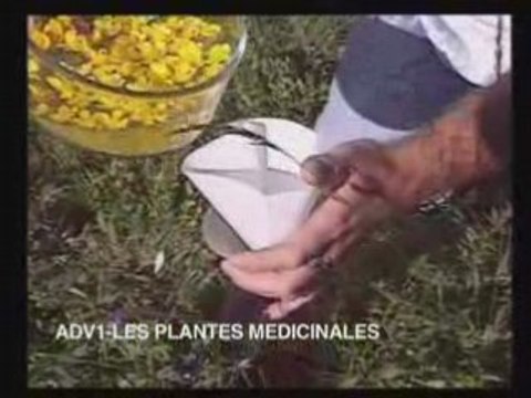 Les plantes medicinales